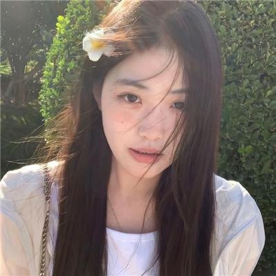 大象与小蝶物语